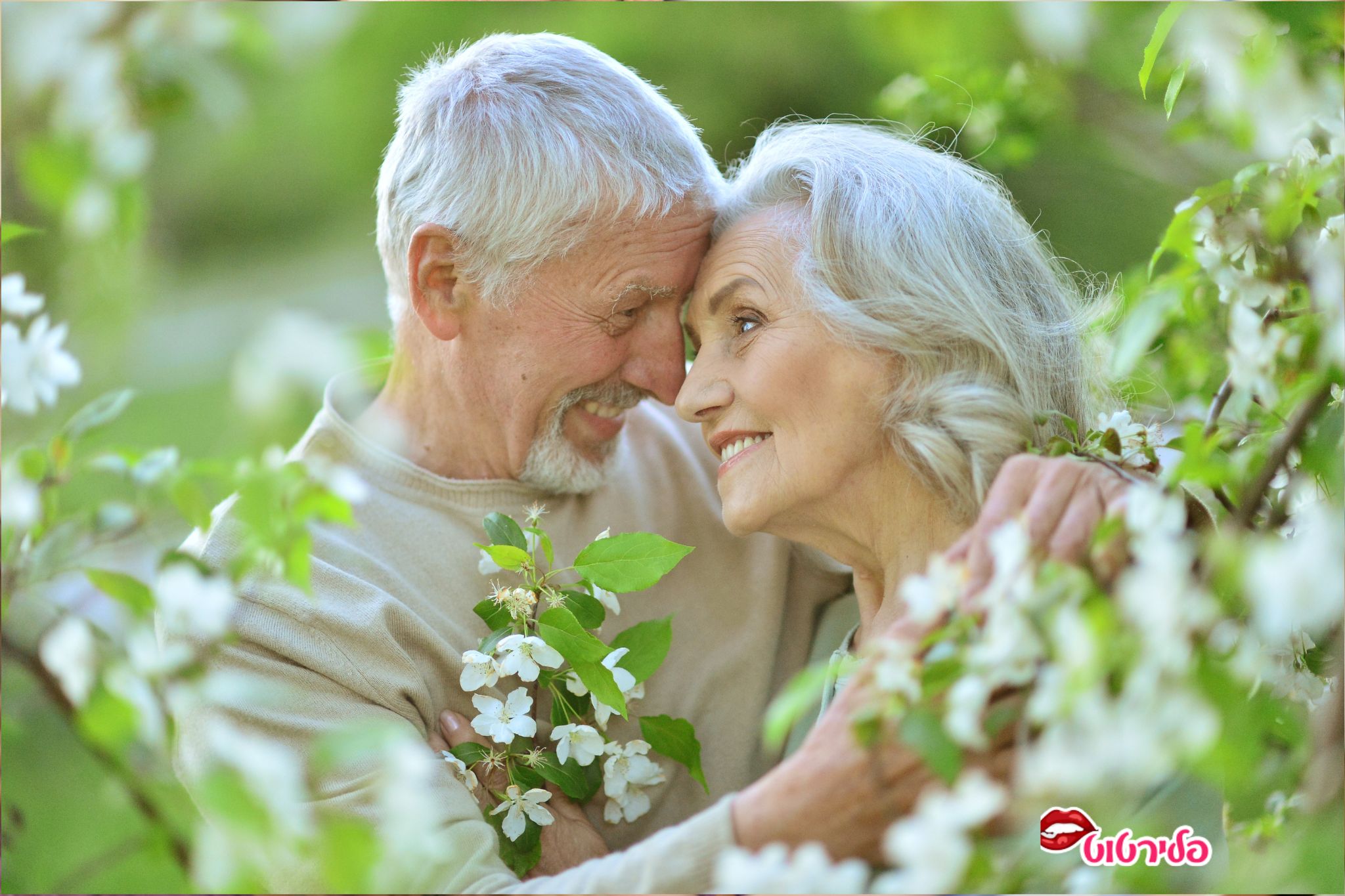 אהבה מאוחר מציאת זוגיות בגיל השלישי