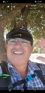 עאמר