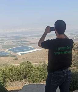 אלעד