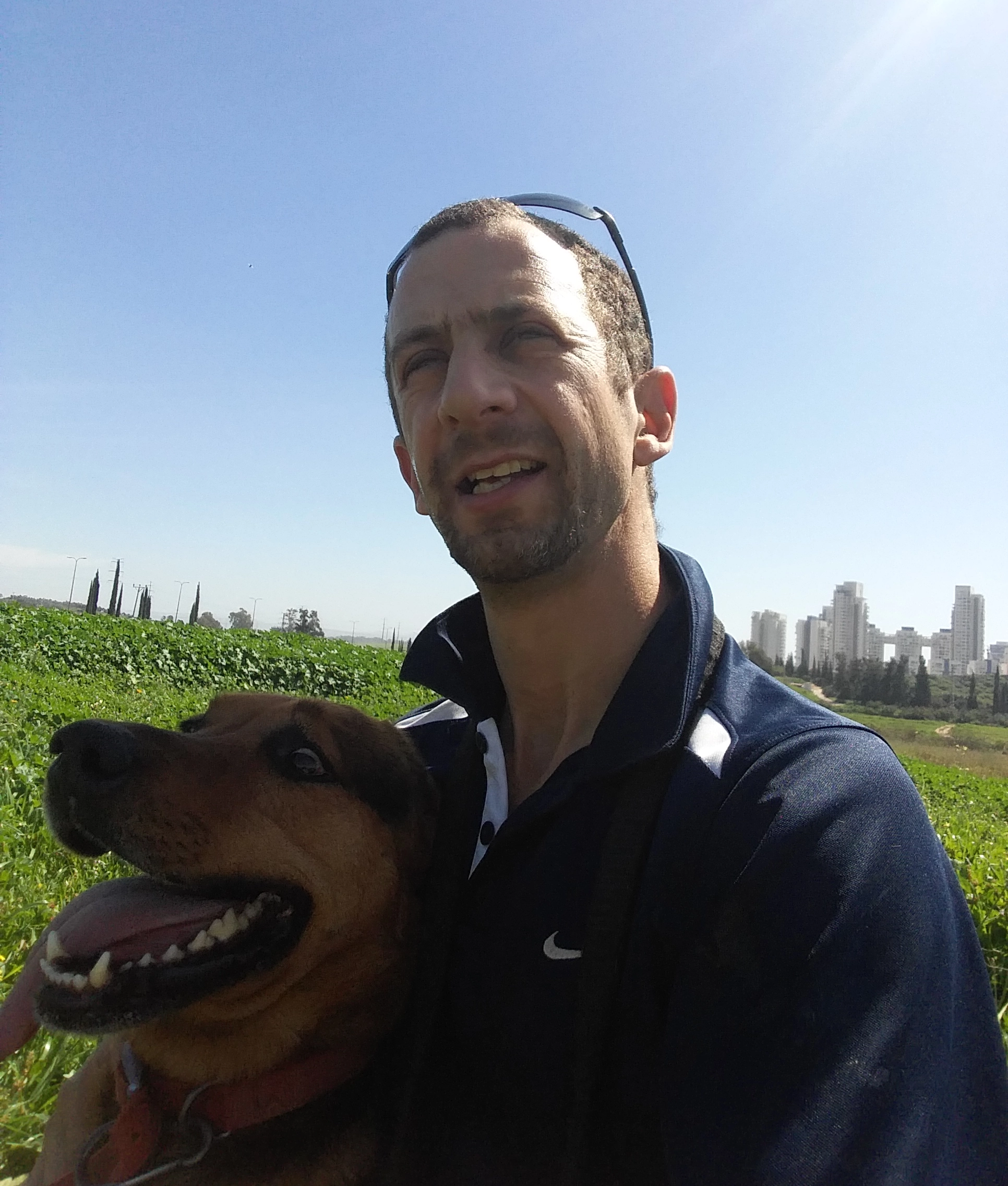 ירון
