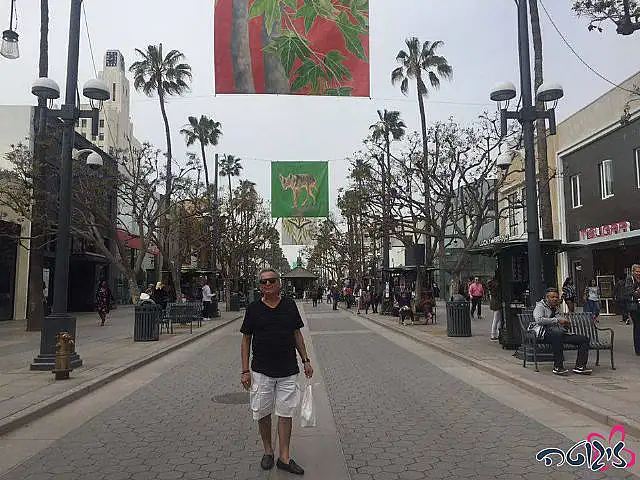 אבי