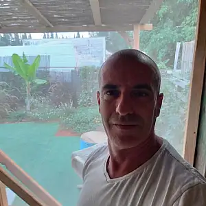 דוד