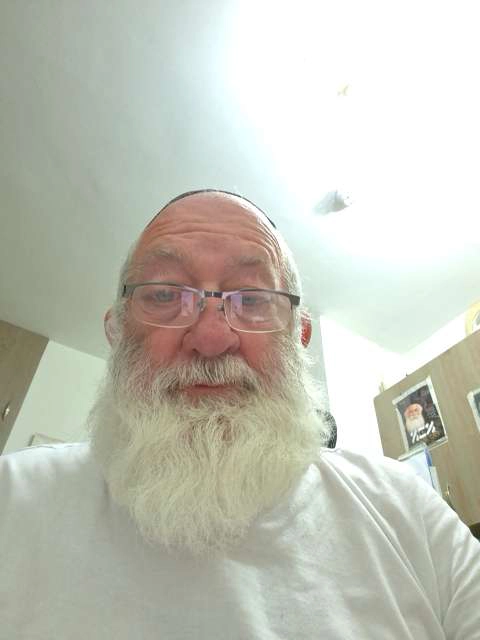 שלוימה