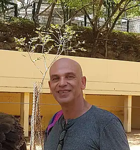 גילעד 