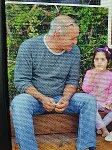דודי