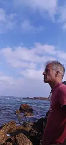 Sapo