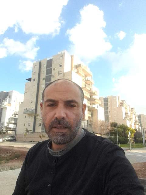 טיגריס