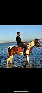 גבר נאה 