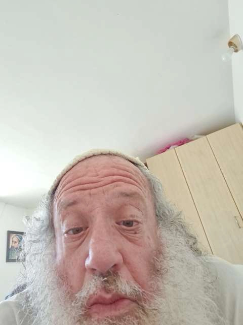 אלוני