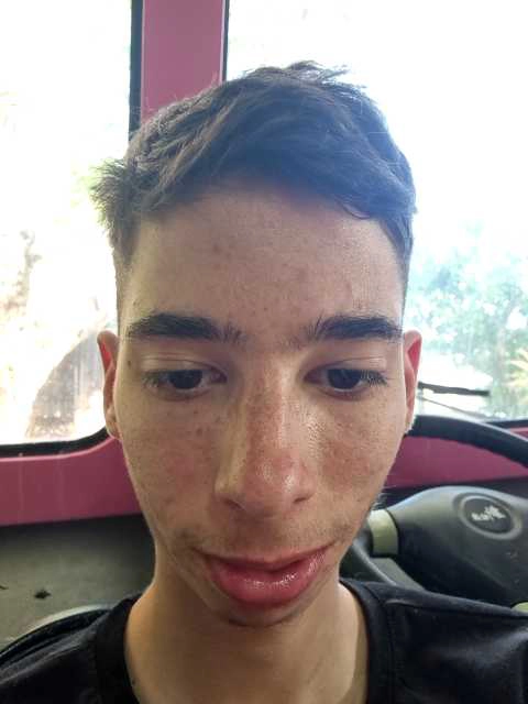 אילן