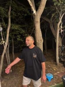 הרשלה